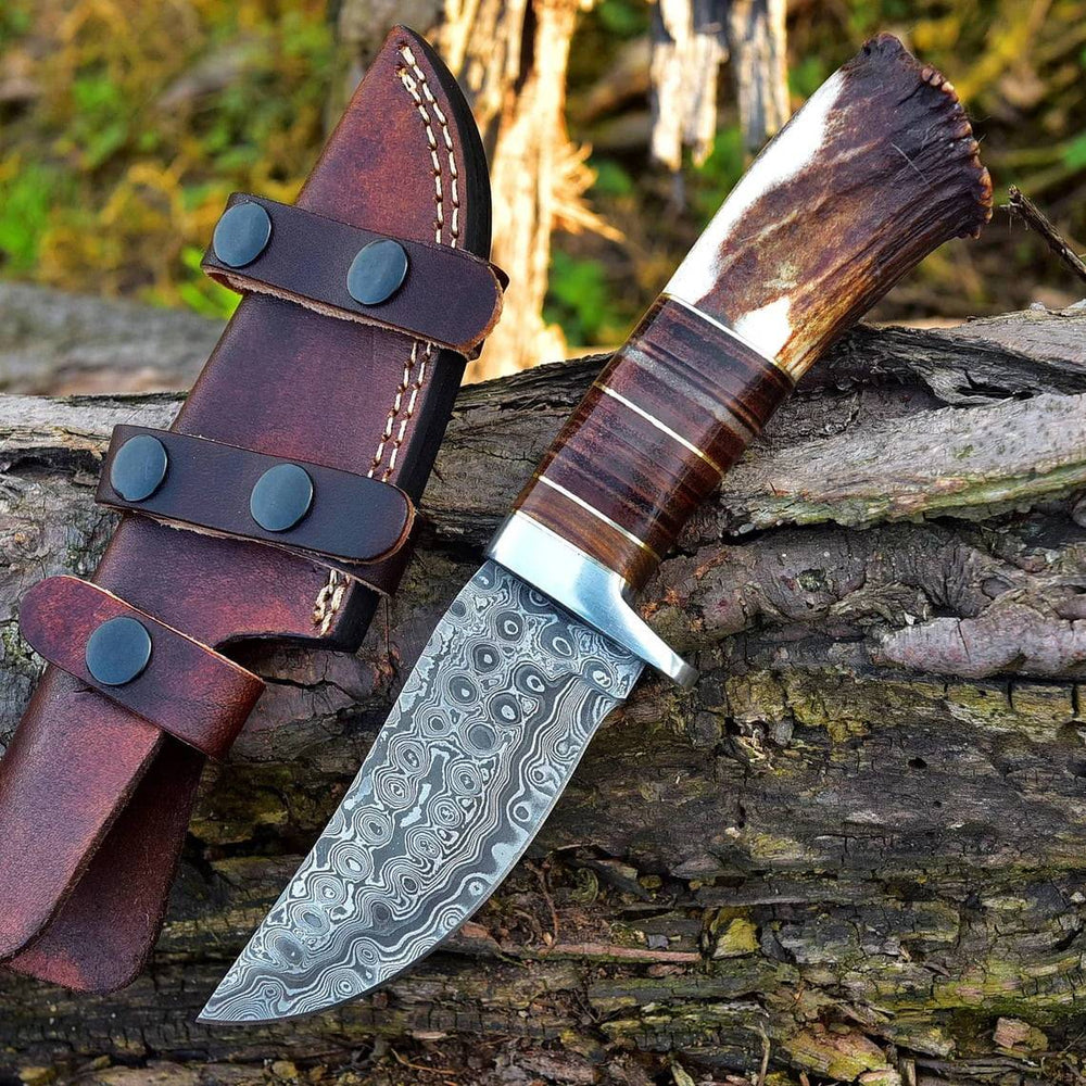 Damascus Steel Hunting Knife Stag Handle
