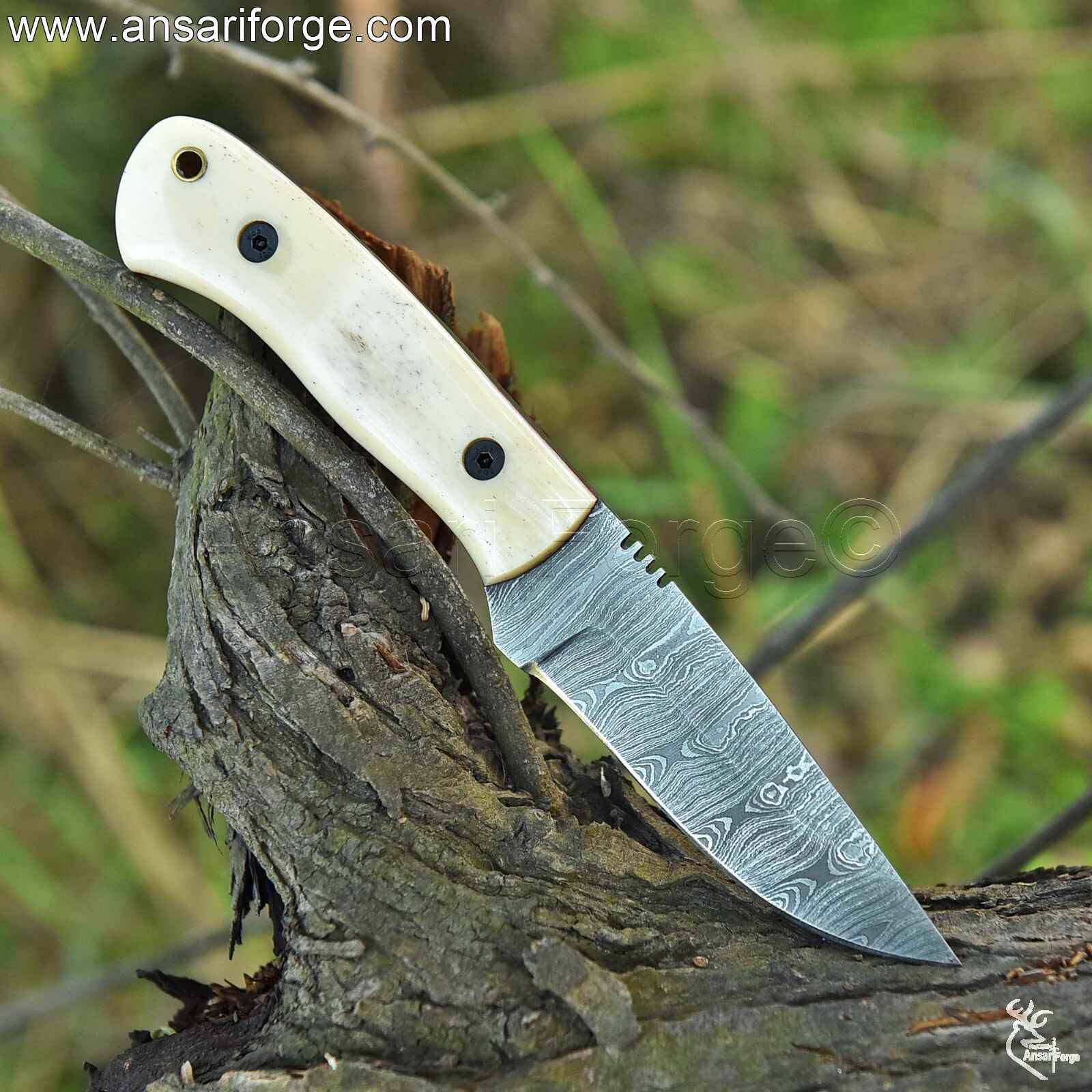 Damascus steel skinner knife field dressing game - sharp bone handle hunting tool.