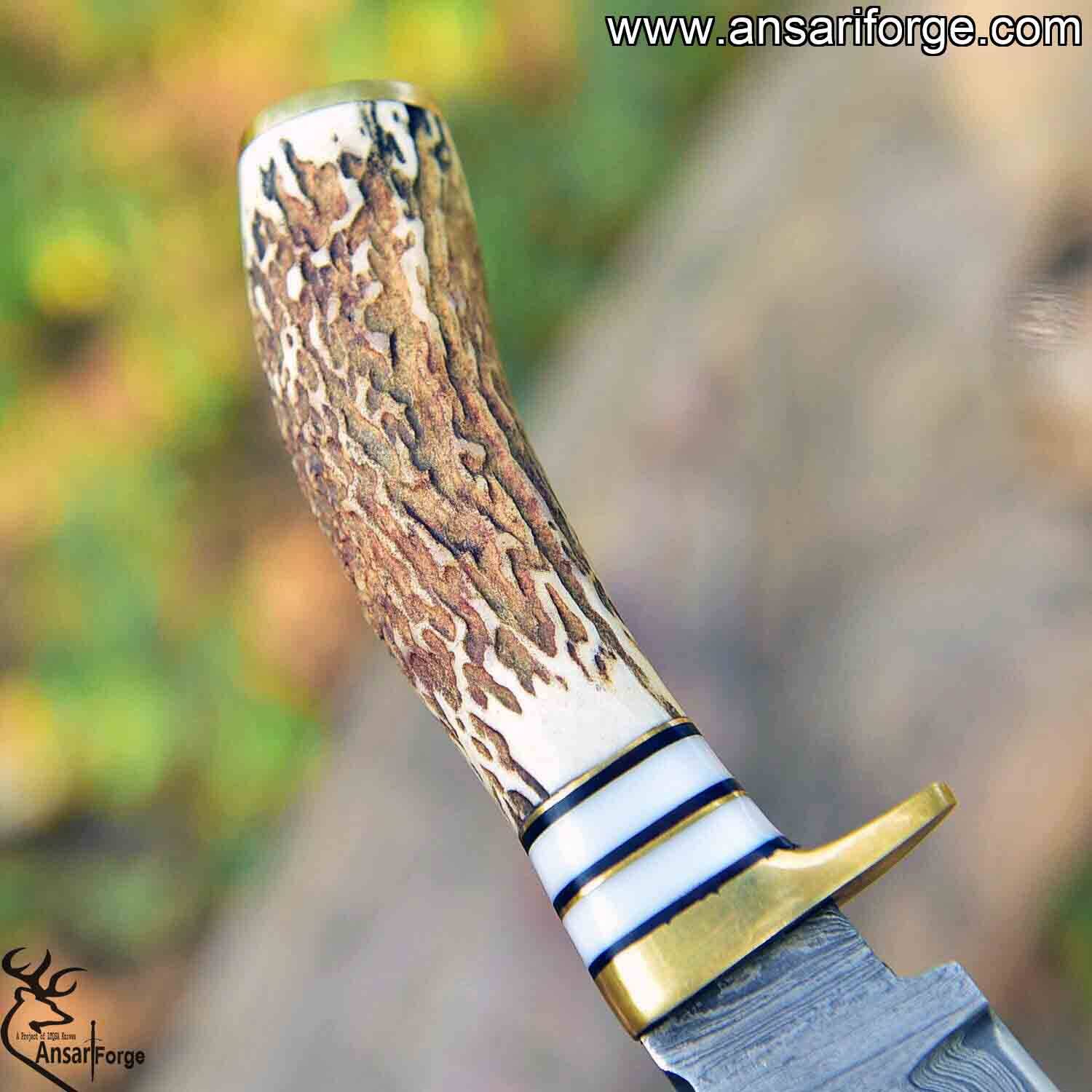 Damascus Steel Gut Hook Knife For Skinning Hunting 9 inch Fixed Blade Stag Handle  Leather Sheath