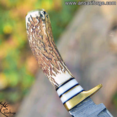 Damascus Steel Gut Hook Knife For Skinning Hunting 9 inch Fixed Blade Stag Handle  Leather Sheath