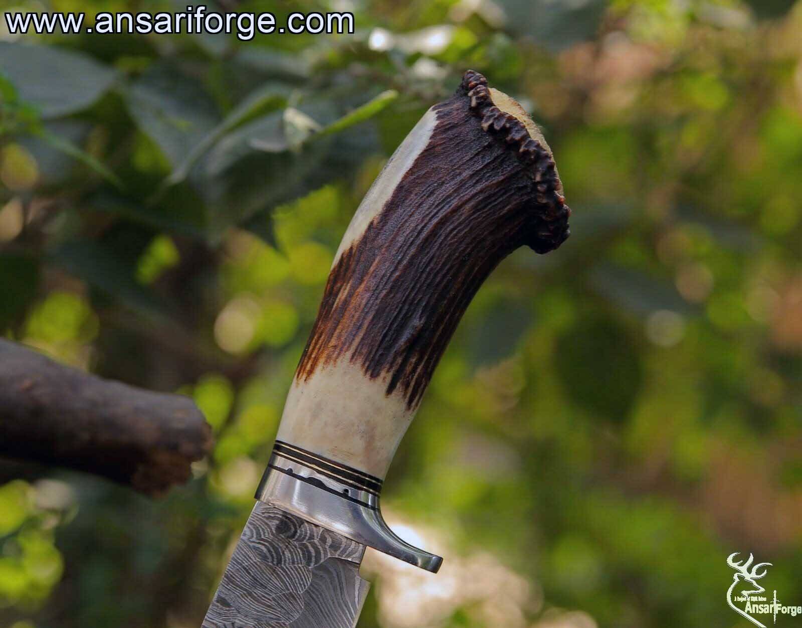 Stag antler handle of Custom handmade Damascus hunting knife.