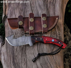 Hand-forged Damascus Gut Hook Knife with beautiful twist pattern, Pakkawood handle, and rosewood bolsters & leather sheath.