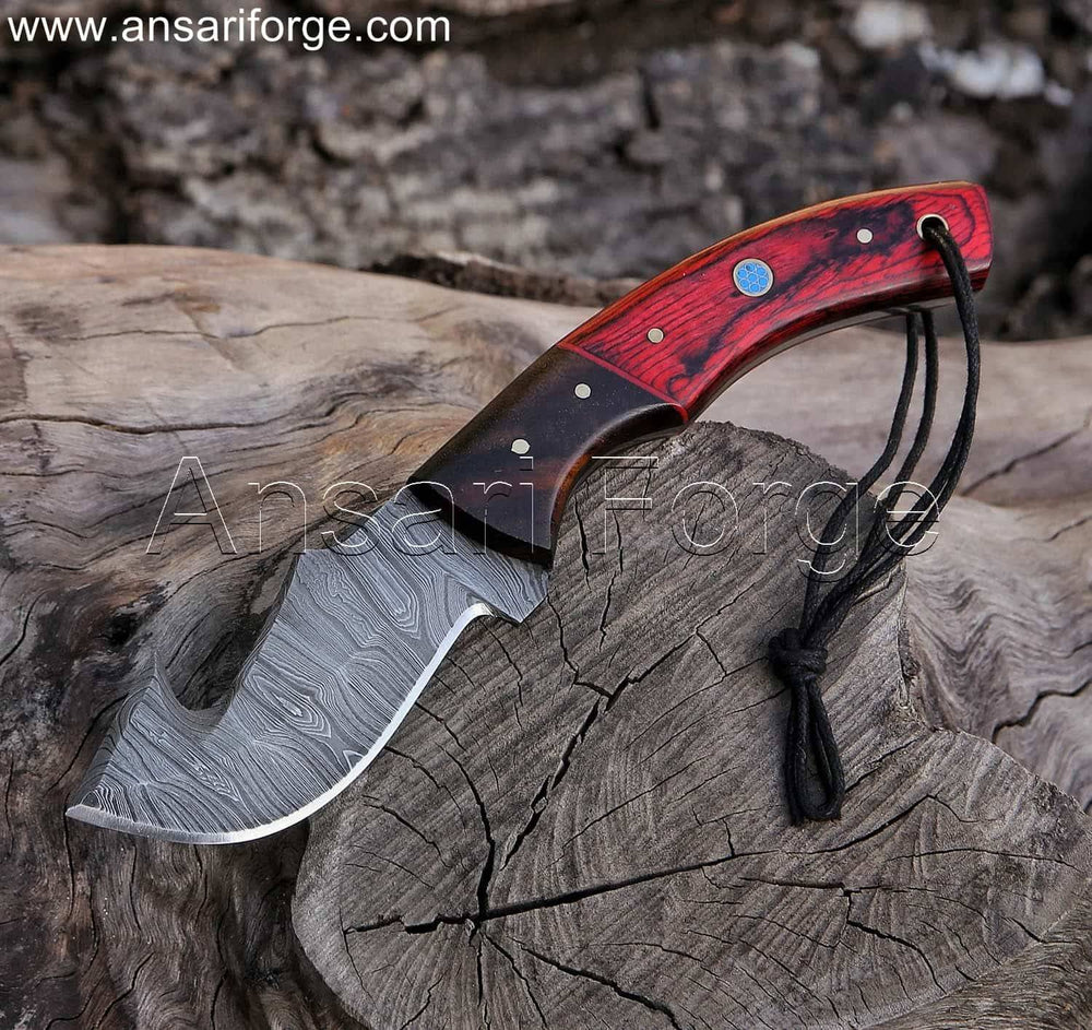Hand-forged Damascus Gut Hook Knife with beautiful twist pattern, Pakkawood handle, and rosewood bolsters.