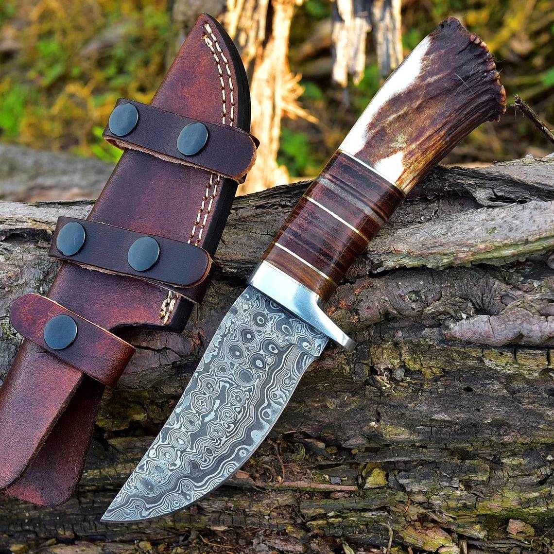 Damascus Steel Hunting Knife Stag Handle