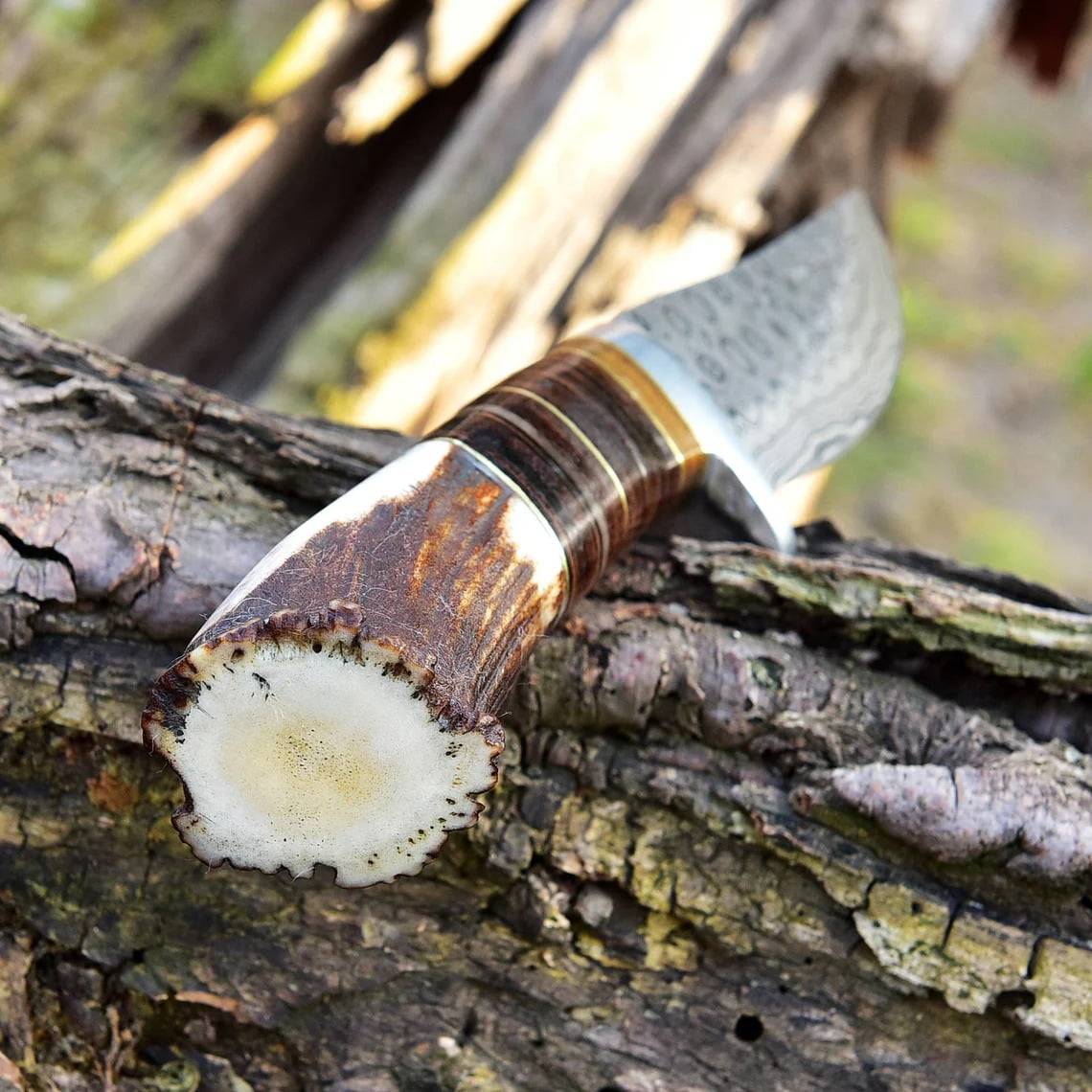 Damascus Steel Hunting Knife Stag Handle