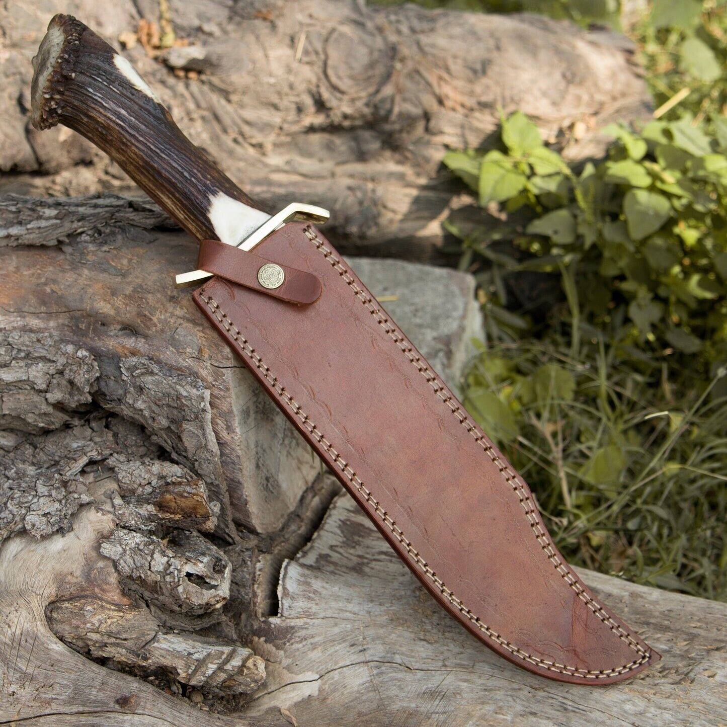 16 inch Bowie knife with crown stag handle in handmade leather sheath.