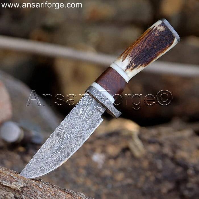 Walnut & Stag Horn Damascus Hunting Knife with Leather Sheath.