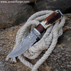 Damascus Hunting Knife with Antler and Walnut Handle.