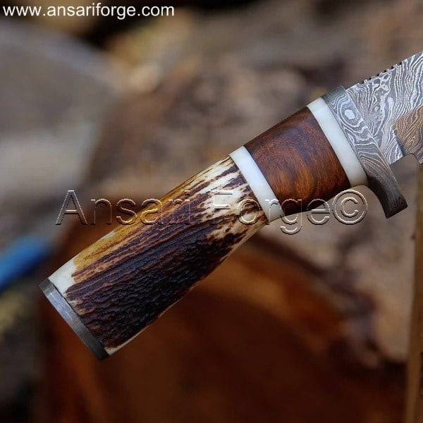 Walnut wood & Stag Horn handle Damascus Hunting Knife.