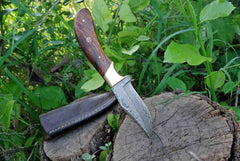 Fixed Blade Knife With Sheath