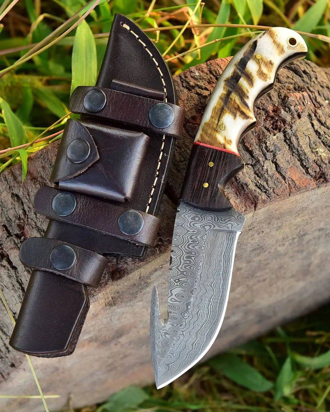 Damascus skinning knife with gut hook, leather sheath, and sheep horn handle.Best Damascus knife for deer hunting ,