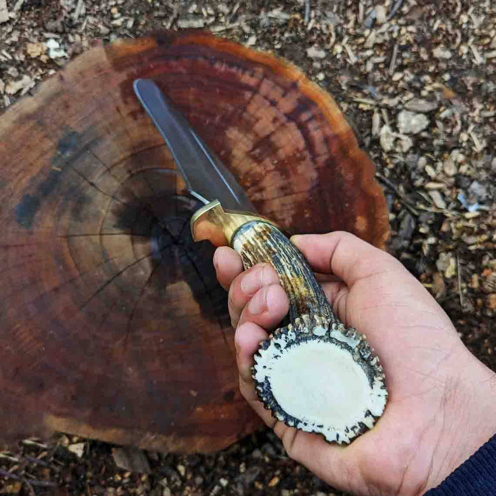 Stag handled Bowie knife With Leather Sheath