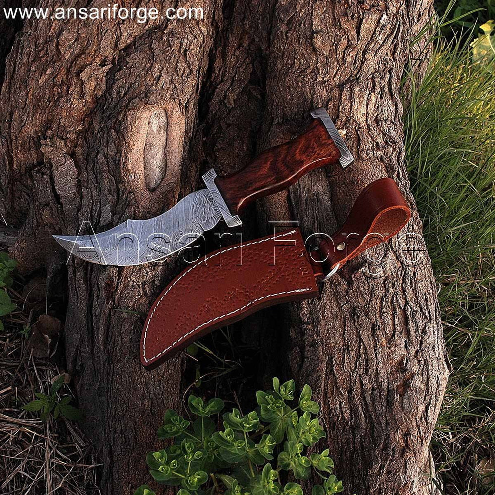 Damascus steel pirate dagger with curved blade, walnut wood handle, and leather sheath.