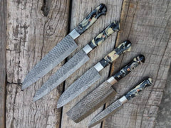 Professional Chef Knife Set 5 Damascus Kitchen Knives With Roll Bag / Case