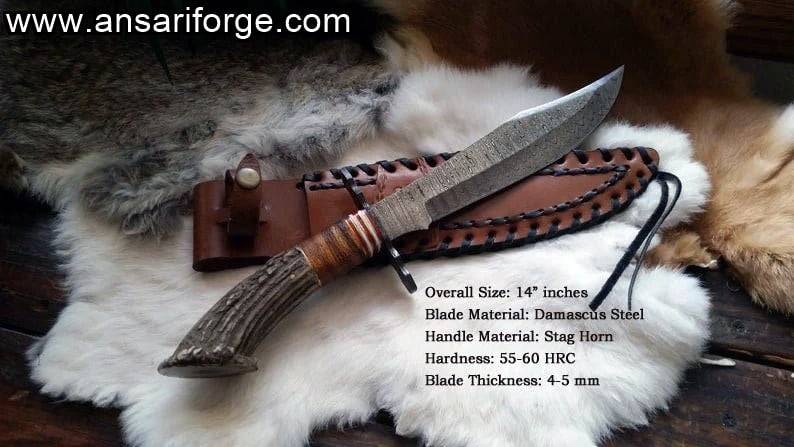 Damascus Hunting Knife Stag Horn Handle