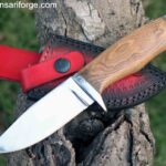 Buck Knife Special Fixed Blade Hunting Knife, 5" Drop-Point 420HC Blade, Olive Wood Handle with Leather Sheath .